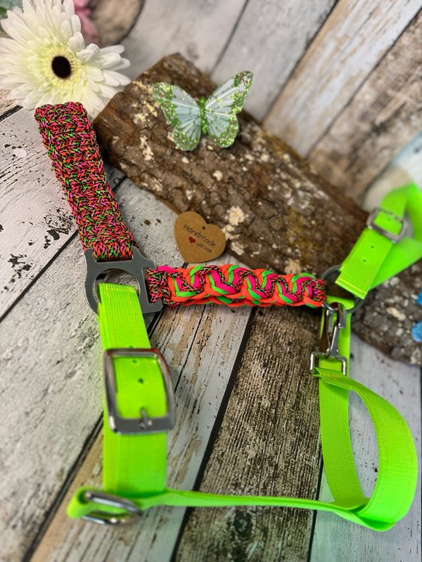 Halfter Back Road Journey „Neon Variante“- Gurtband mit Paracord 