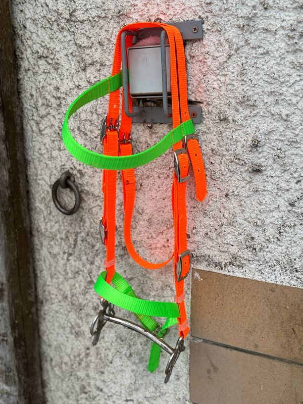 Einfache Fahrtrense für Einsteiger 