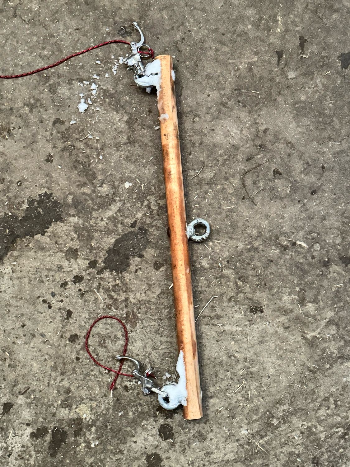 Ortscheid für Shetty/Schlitten fahren