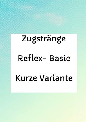 Kurze Reflex-Zugstränge "Basic" aus Biothane | Handgenäht von KumiHorse