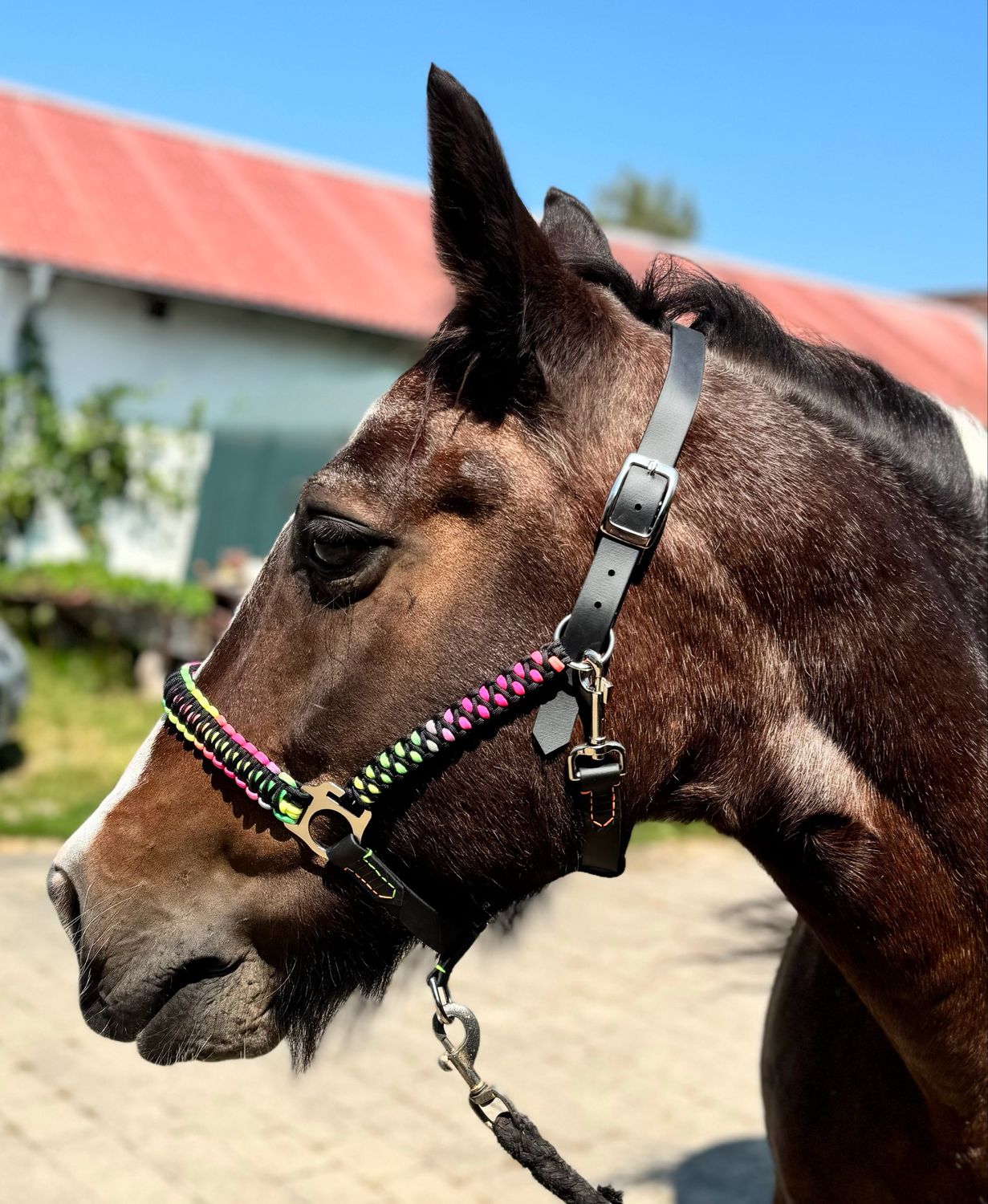 Halfter „King Cobra“