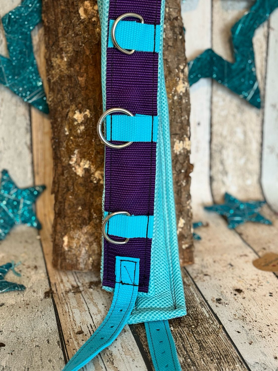 Longiergurt „Basic“