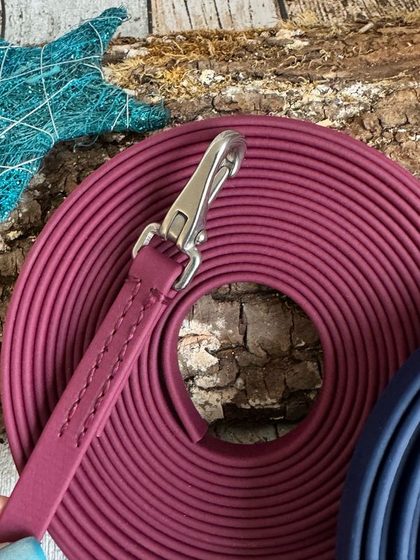 Schleppleine für kleine Hunde bis 25 kg