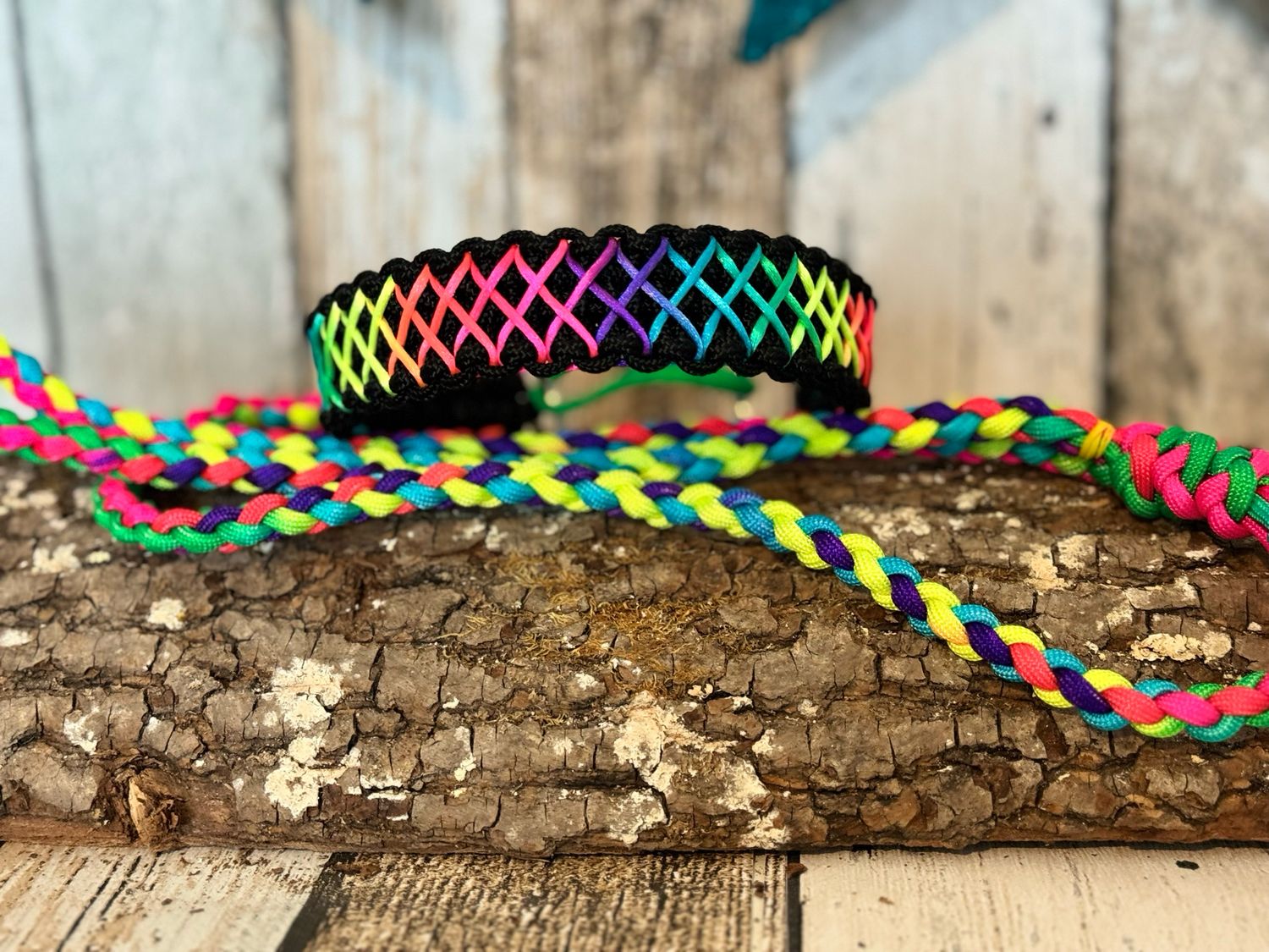 Agility-Leine aus Paracord mit Martingal/Zugstopp und integrierter Leine