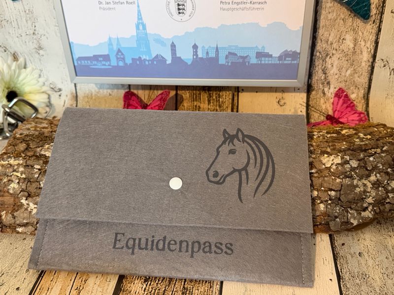 Equidenpass-hellgraue Hülle