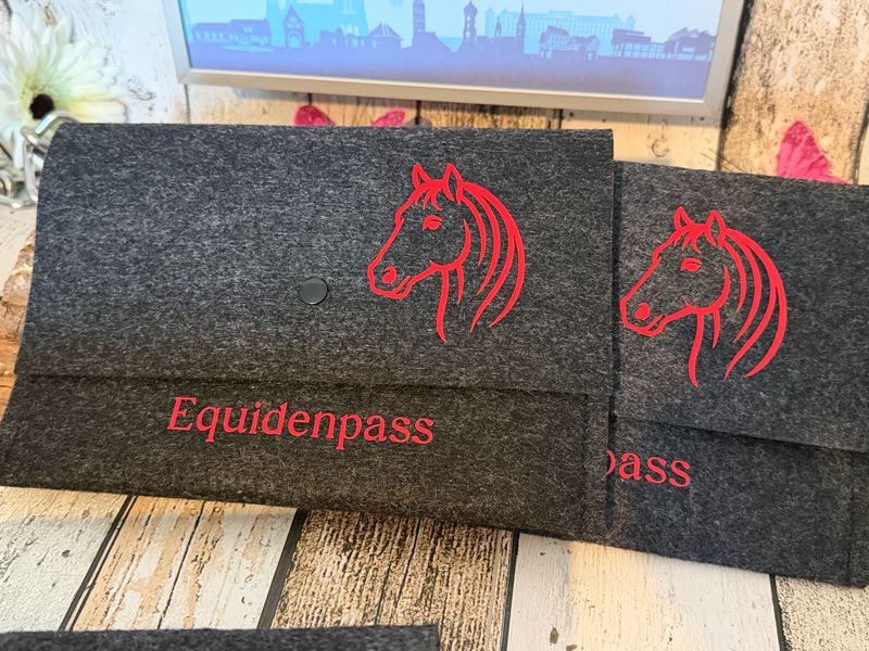 Equidenpass-dunkelgrau meliert 