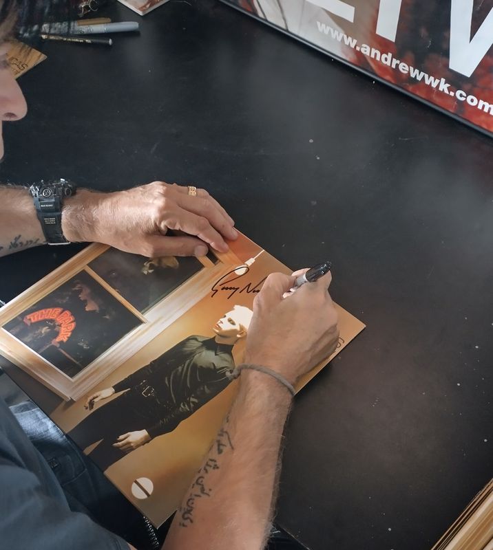 Replicas Vinyl