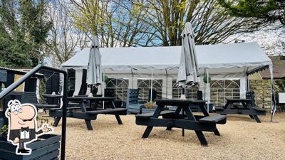 HQ Maidstone Chuck (Walnut)