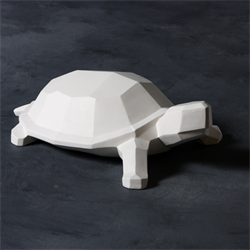 Faceted Turtle
