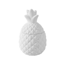 Pineapple Box