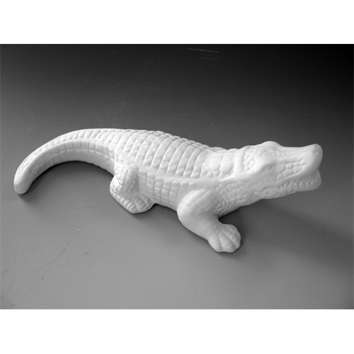 Gator Alligator