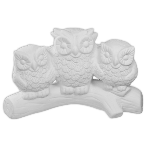 Owl Family branch