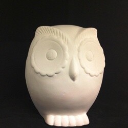 Screech Owl Bank