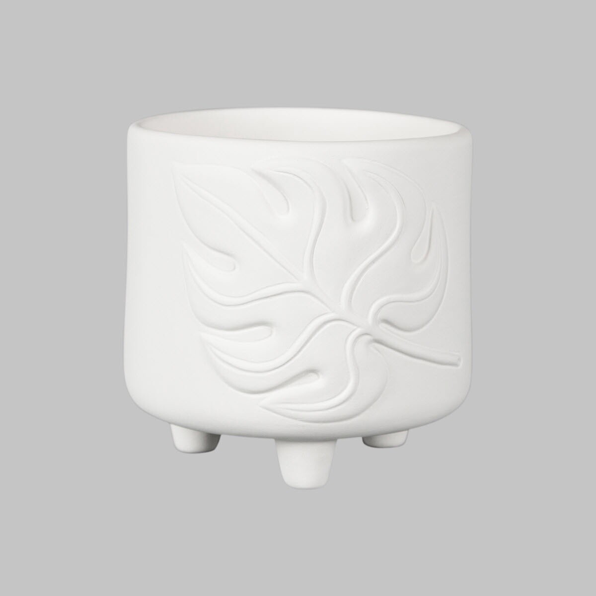 Monstera Footed Container