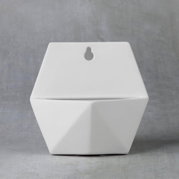 Hexagon Wall Planter