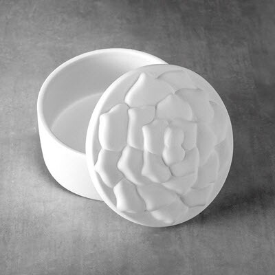 Succulent Box no flower