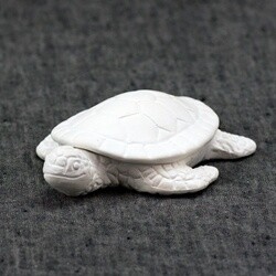 Little Baby Sea Turtle