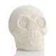 Sugar Skull Party Animal