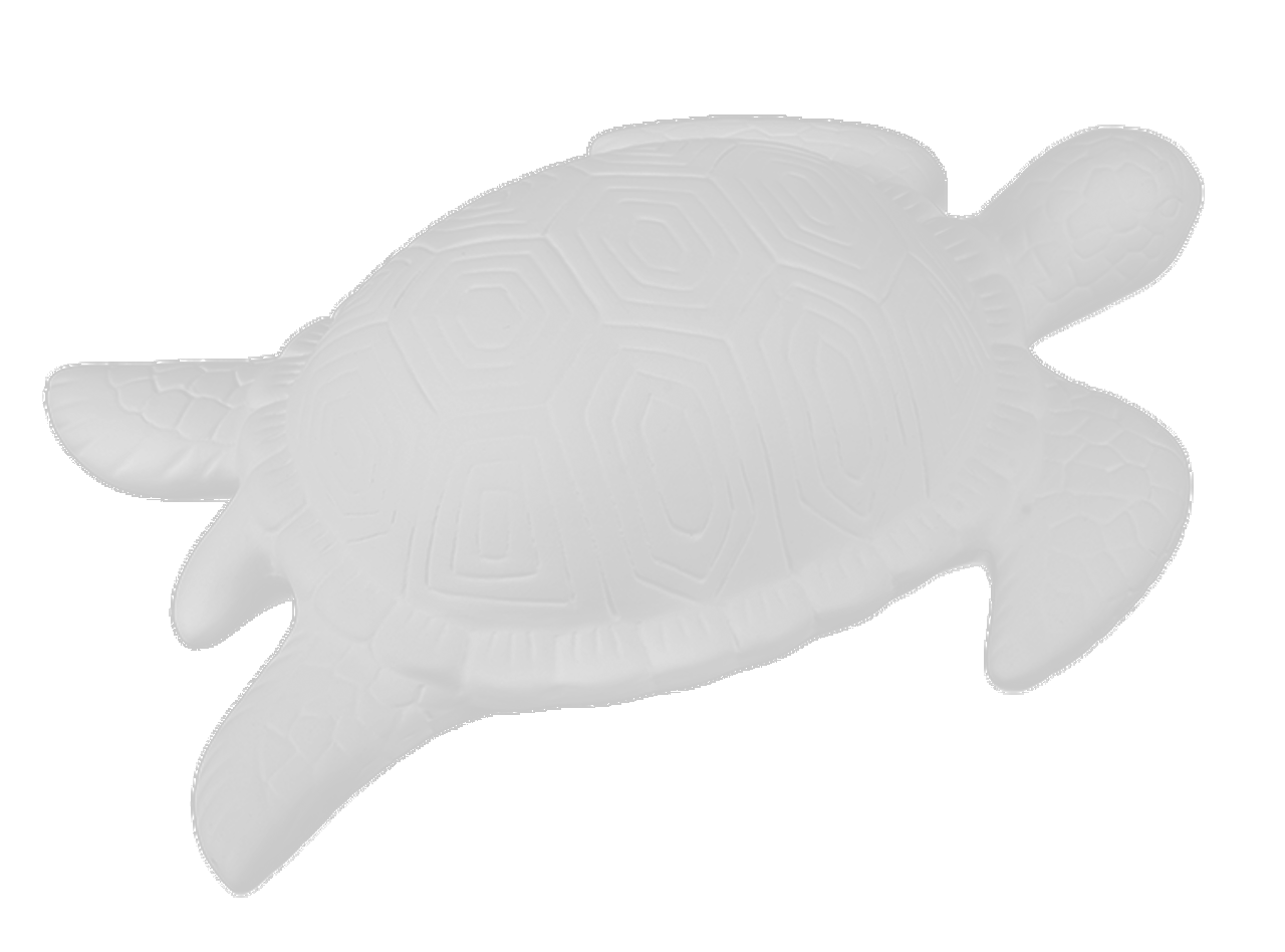 Large Contemporary Sea Turtle Plaque