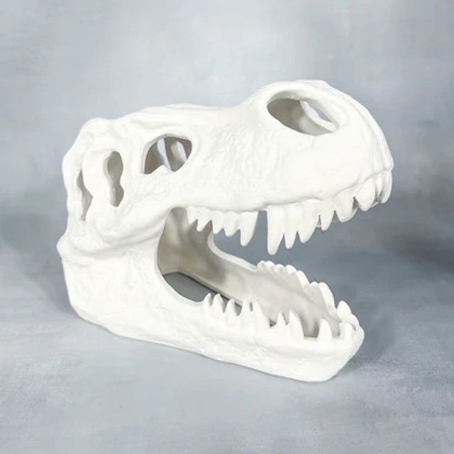 T-Rex Skull