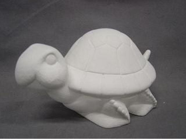 Cute Turtle