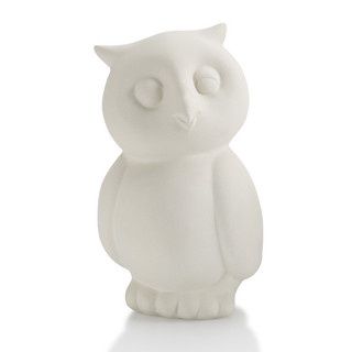 Owl Party Animal