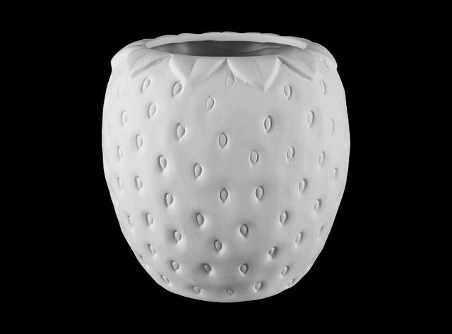 4-H Strawberry Container