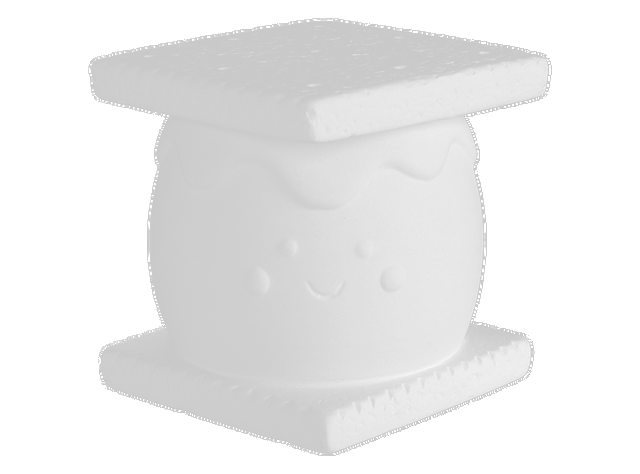 Girl Scout Campfire Treat S&#39;mores Box