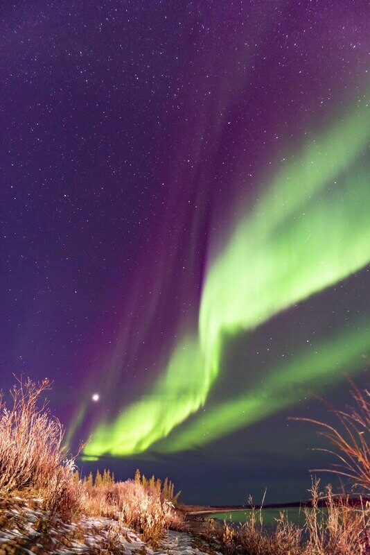 Auroras and Polaris Over The Canadian Arctic - Portrait