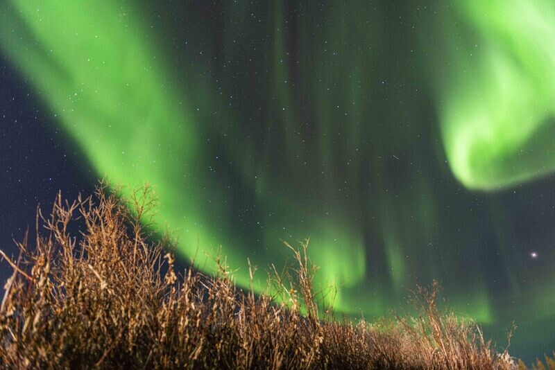 Auroras and Polaris Over The Canadian Arctic - Landscape