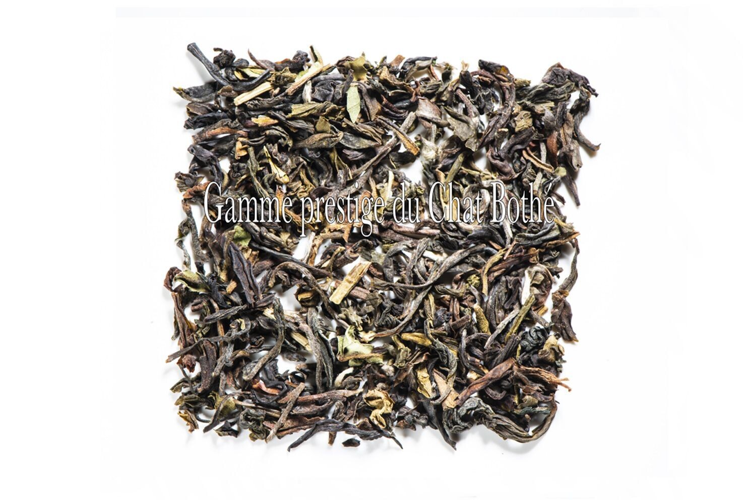 Darjeeling Phuguri Gold