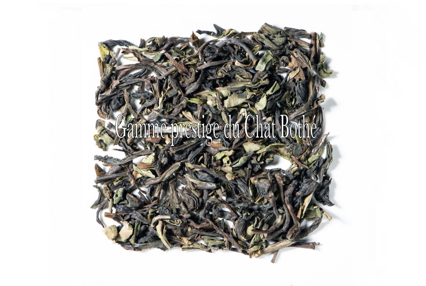 Le Thé des Explorateurs- FTGFOP 1 Darjeeling