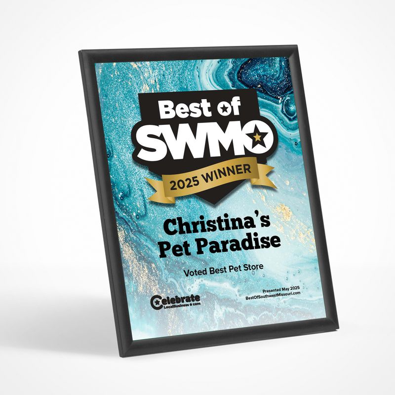 Winner&#39;s Modern Plaque