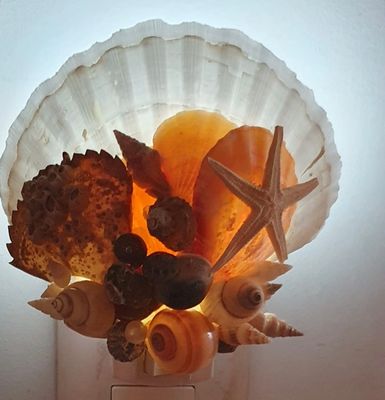Ocean Decor