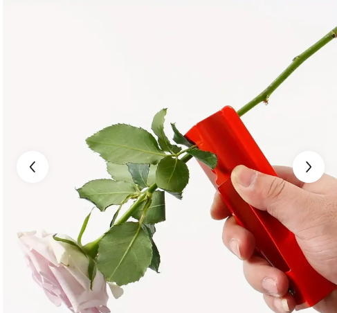 Rose thorn remover