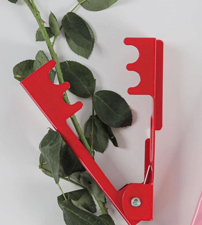 Rose thorn remover
