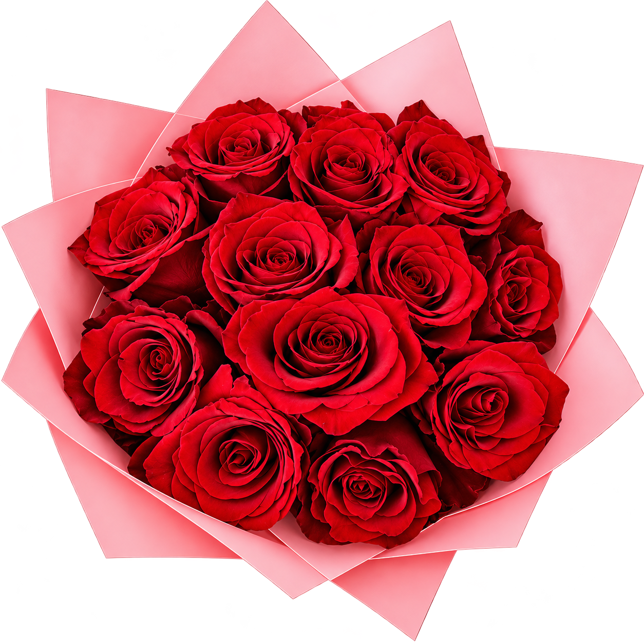 1 Dozen Rose bouquet