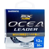 Leader