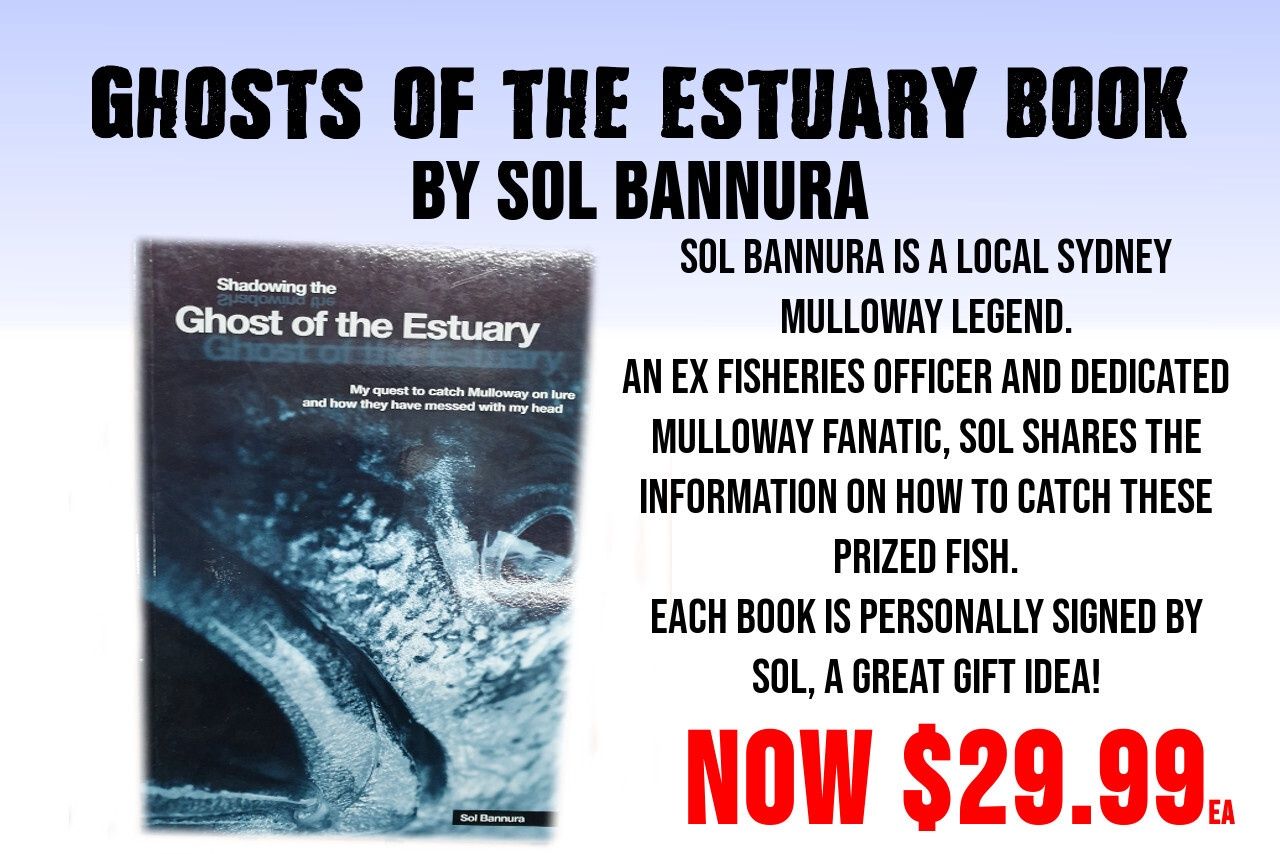 SHADOWING THE GHOST OF THE ESTUARY