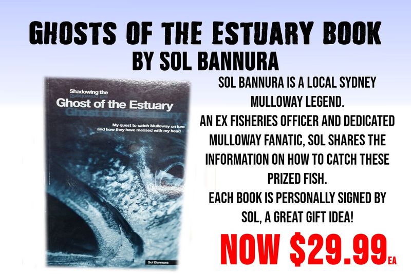 SHADOWING THE GHOST OF THE ESTUARY