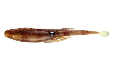 NOMAD LIVEOPS JERKSQUID 4&quot;
