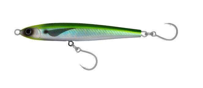 DAIWA SALTIGA OVER THERE 110S