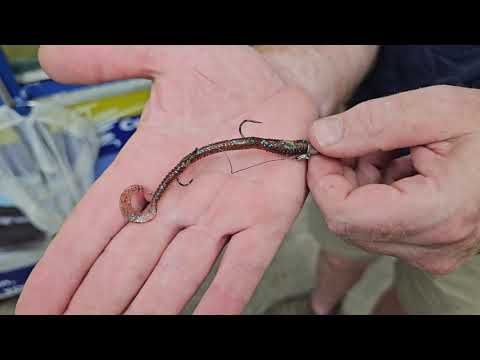 YAKAMITO 4&quot; CEPTOR WORM RIGGED