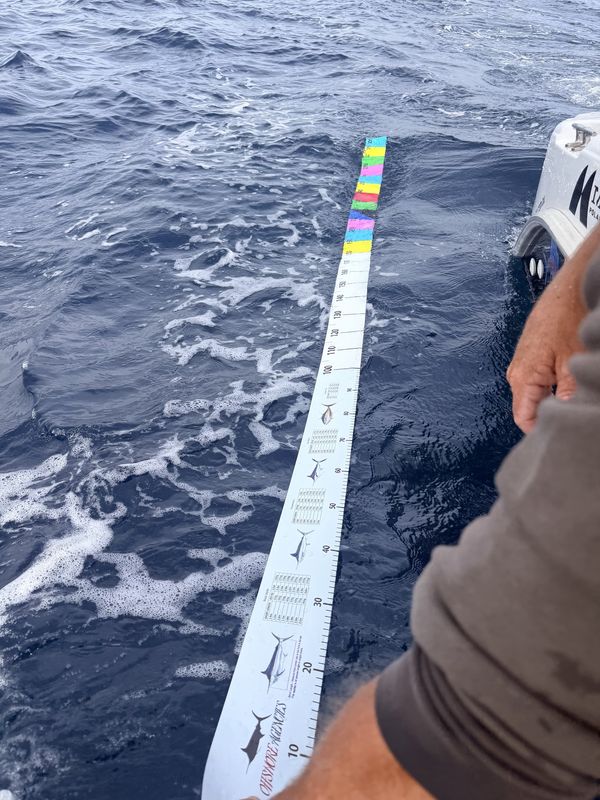 OFFSHORE AGENCIES PELAGIC 3M MEASURING TAPE