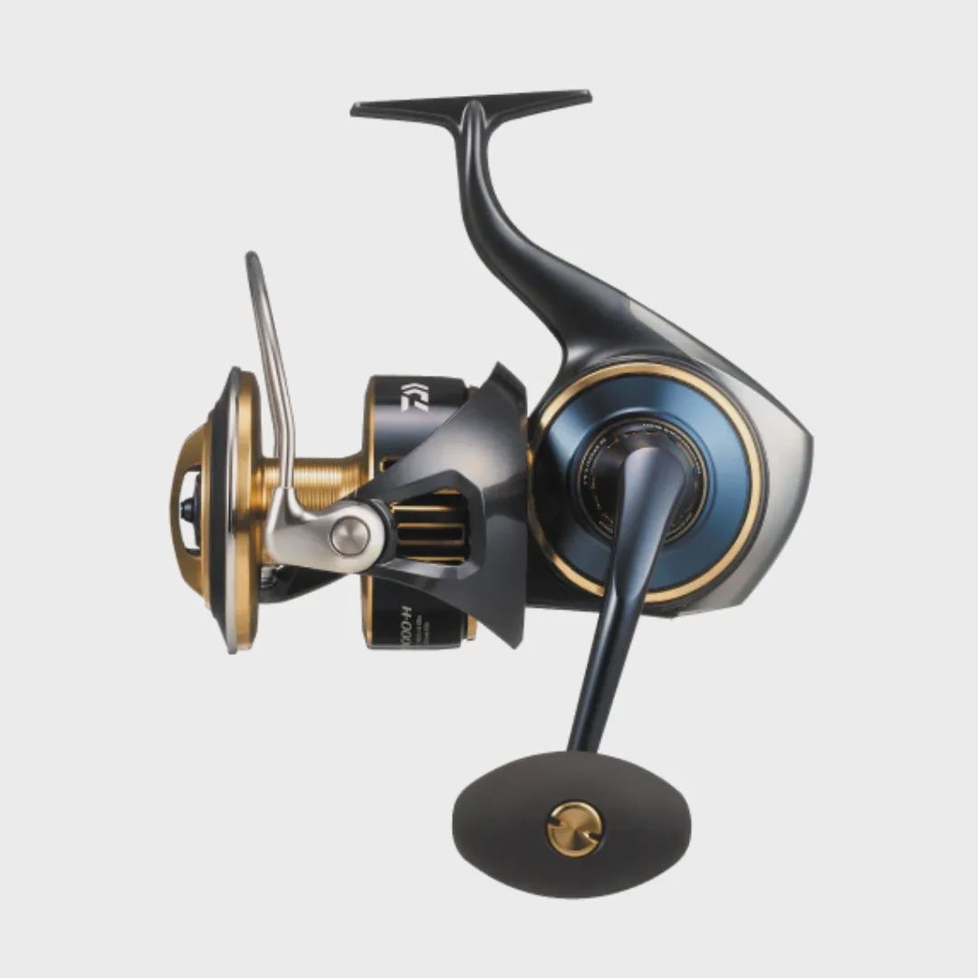 DAIWA 25 SALTIGA