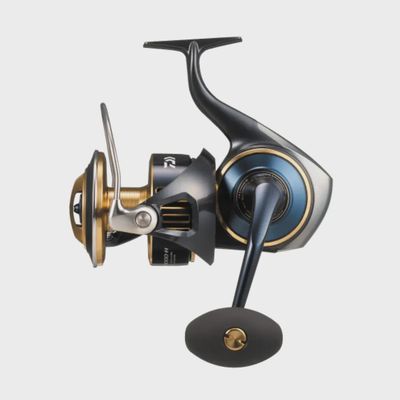 DAIWA 25 SALTIGA