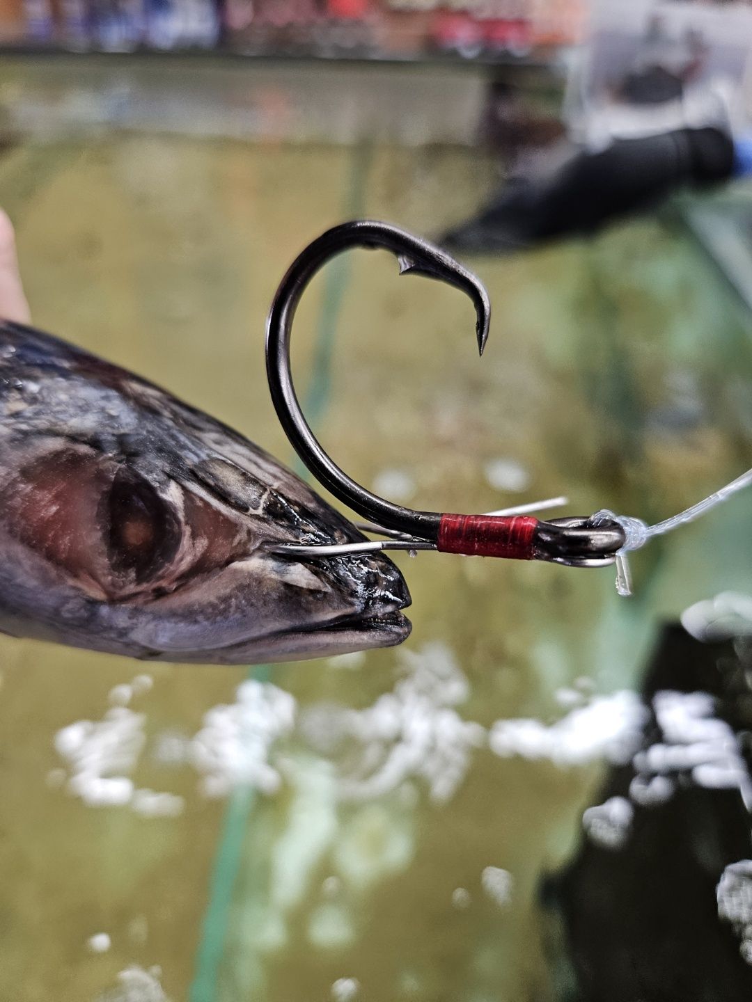 KONAN LIVE BAIT RIG CIRCLE