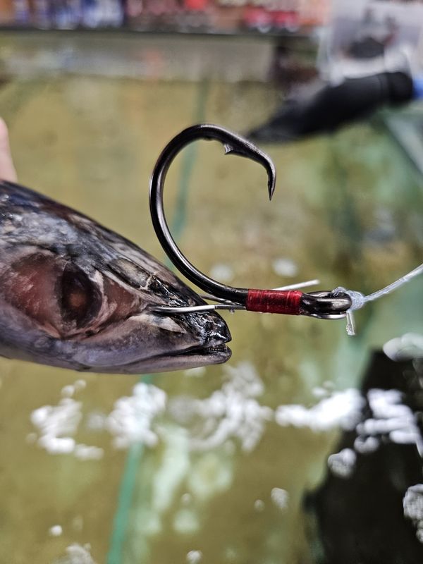 KONAN LIVE BAIT RIG CIRCLE