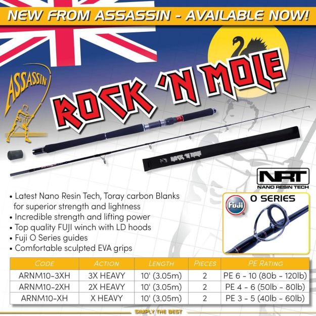 Assassin Rock'N' Mole