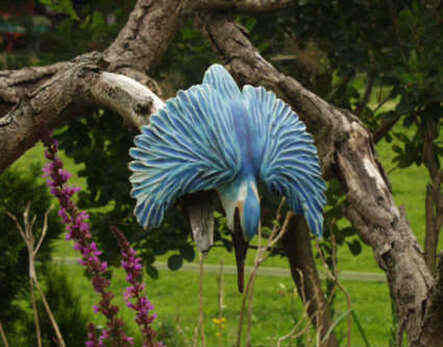 Eisvogel fliegend